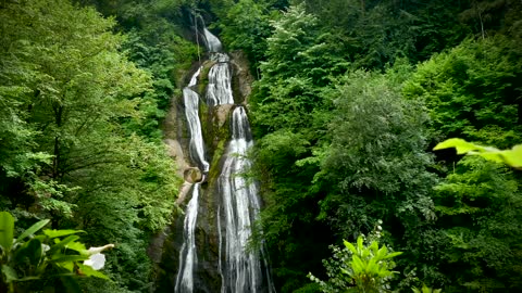 Flowing waterfalls in forest