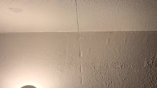 Bathroom Water Leak Creates Peculiar Ceiling Pimple