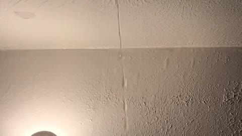 Bathroom Water Leak Creates Peculiar Ceiling Pimple