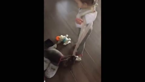 Adorable baby and naughty dog play together at home