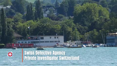 Due Diligence - Background Check - Financial Investigation - Swiss Detective Agency