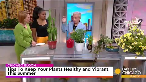 Tips To Keep Your Plants Healthy and Vibrant This Summer | WGN News