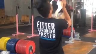 Trusting puppy leaps into owner's arms