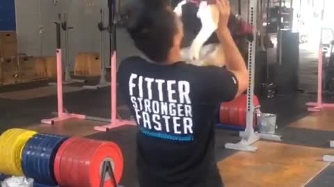 Trusting puppy leaps into owner's arms