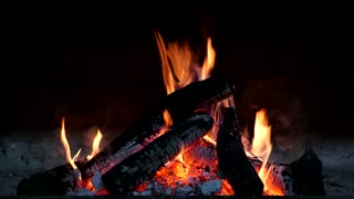 Campfire video - HD [short]