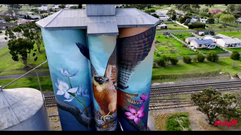 Grain Silo Mural in Kaniva Vict Australia