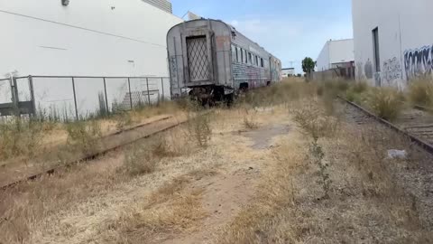 Metrolink 710 at Buena Park