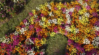 Drone flying over a field of flowers in an iconic park in Bangkok