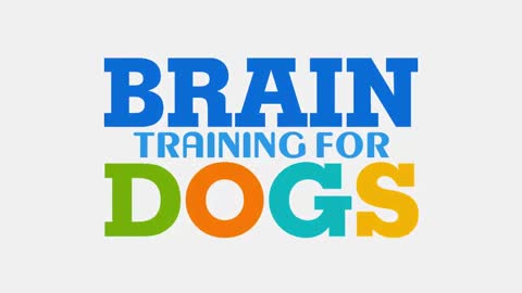 Unique Dog brain training ! part 1
