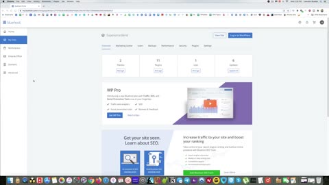 Bluehost Review 2021 I How To Build a website with Wordpress and host