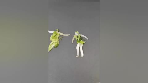 Stop-motion animation: Kungfu cabbage