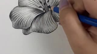 Amazing Pencil Drawing 3D Art Perfect Flower