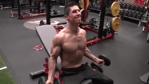 [The BEST Dumbbell Exercises for BICEPS]seated-dumbbell-curl