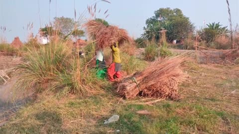Real Life in India my village ll How do poor people Work In India ll And uttar pradesh Rural Life