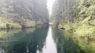 The Long Rustic Bridge of Clear Lake Loop, Southern Quadrant – Willamette National Forest – 4K