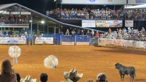 Knocker Bull Contestant Goes Flying