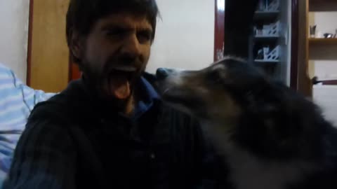 Pet dog 'catches' human yawn