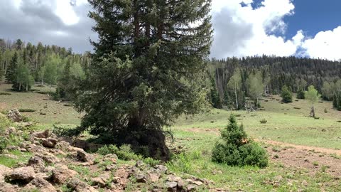 ATV’s, the Paiute Trail and lunch!