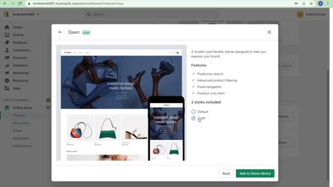 Shopify Dropshipping Course lesson 2