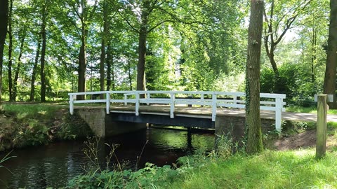 Walk in Nature around Het Nijenhuis at Diepenheim.