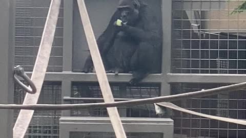 Sitting enjoying lunch