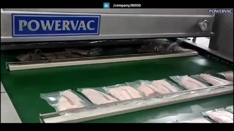 Fish packing machine for freshness and Shelf life Vacuum Packaging Machine ABV-1200