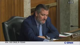 Sen. Ted Cruz slams the DOJ and critical race theory