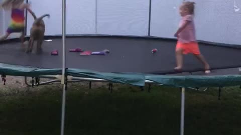 Trampoline Fun With Scooby and friends