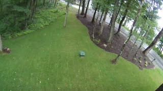 Bobcat caught on camera in yard