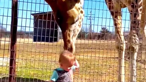 How animals love kids