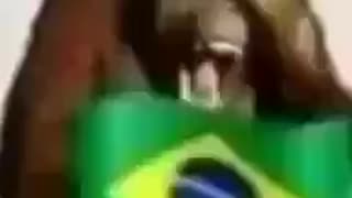 macaco rindo muito