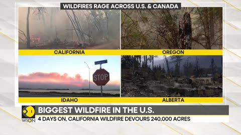 Scores of wildfires scorches swaths of land across US and Canada WION (1)