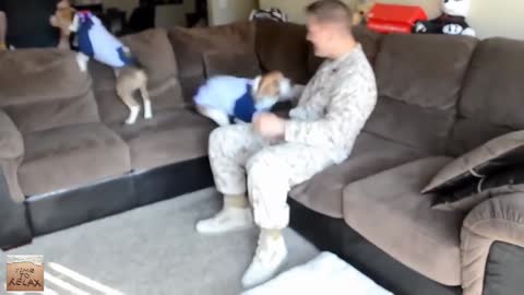 Soldiers coming home to their dogs❤️😍