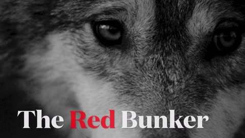 The Red Bunker - Short - 04202024