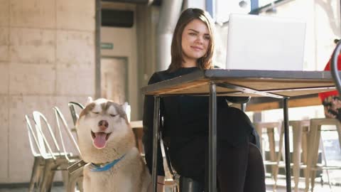 Young woman is working with laptop with siberian husky dog in cafe or coworking