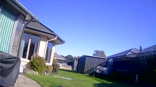 Nice to see SUN Today in Christchurch NZ, Charlies being Norty woofing at Postie -The Out There Chan
