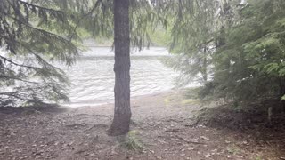 Campsite #12, Oak Fork Campground – Timothy Lake – Mount Hood – Oregon – 4K