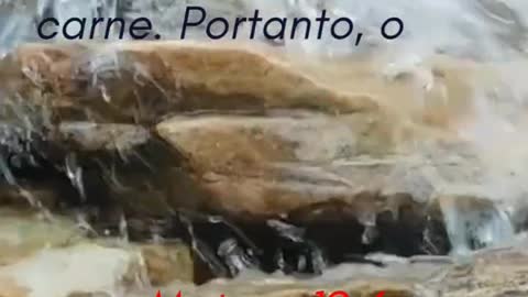 Portanto, o que Deus uniu, ninguém separe Mateus 19:6 #shorts