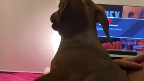 Missy loves to sing