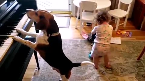 Funniest Animals Videos - Best Cute Cats😹 and Crazy Dogs🐶 Videos 2024