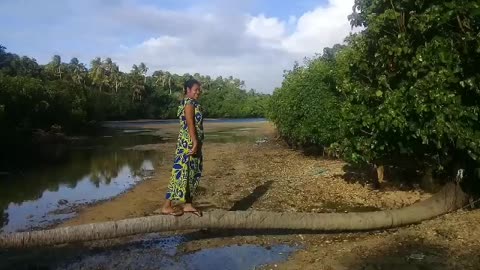 Kaba Island is in Viti Levu Fiji Islands