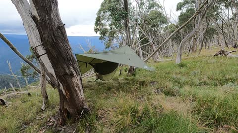 Tentsile and Alton goods. Trad and New Tree Hammocks.