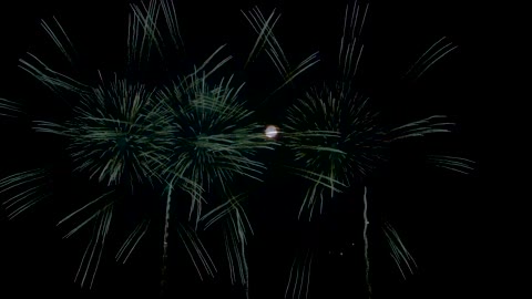 Japan in 8K - Gamagori Fireworks Competition-_愛知県花火競技大会in蒲郡