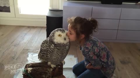 Cute Little Girl and Owl Are Best Friends