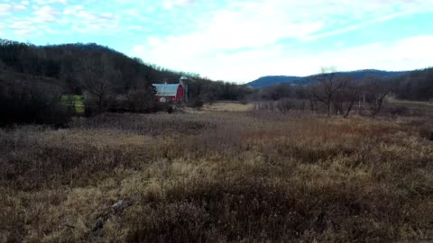 Rutland County Audubon Society - Birds and Bird Watching in ...