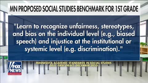 Dr. Carol Swain Comments on Minnesota's Proposal for New K-12 Social Studies Standard