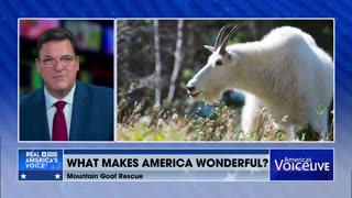 Things That Make America Wonderful🐐