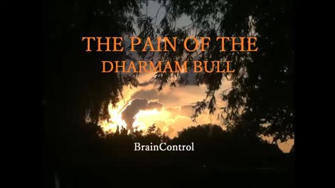 The Pain Of The Dharmam Bull