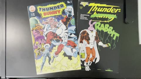 Book Look! THUNDER BUNNY!