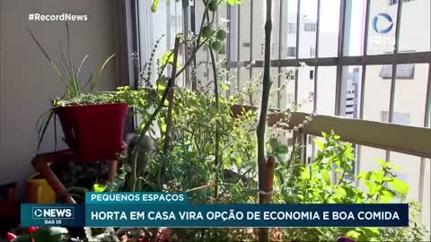 Projeto Preta Terra oferece cursos e dicas para quem quer ter uma horta em casa